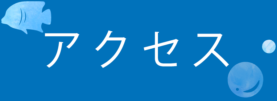 アクセス